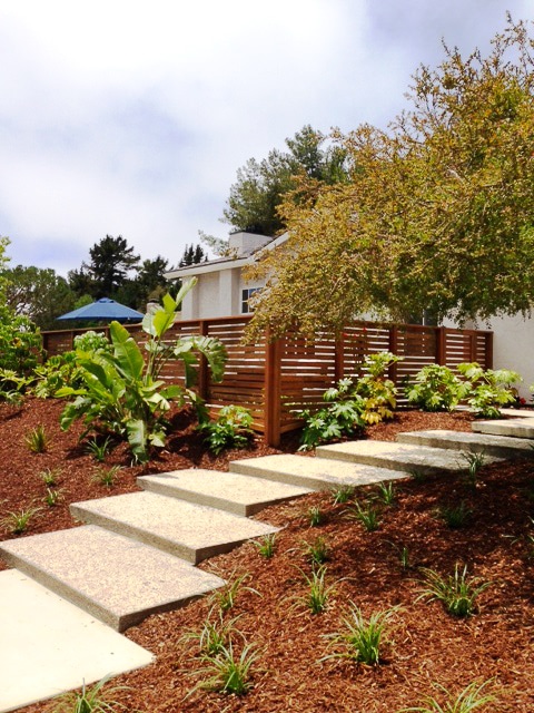 Hardscape Landscape